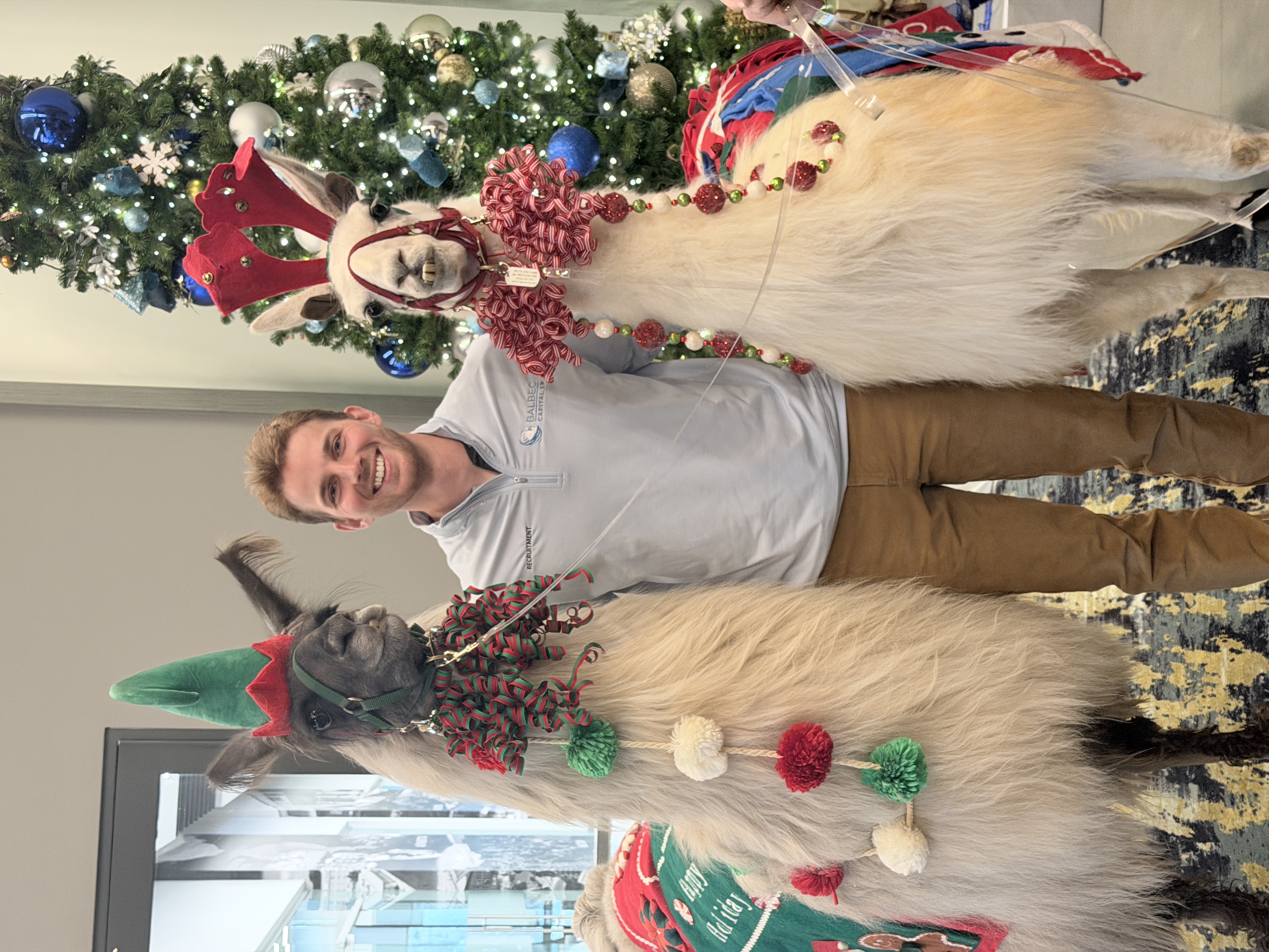 Promez Joe Profile Picture